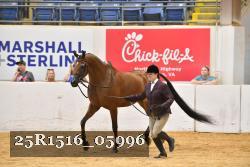 25R1516_05996 thumbnail