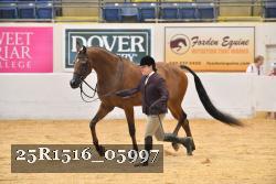 25R1516_05997 thumbnail