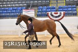 25R1516_05998 thumbnail