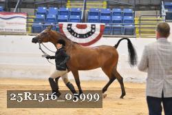 25R1516_05999 thumbnail