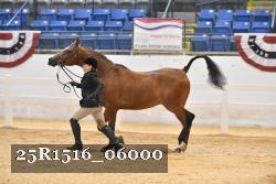 25R1516_06000 thumbnail