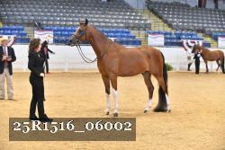 25R1516_06002 thumbnail