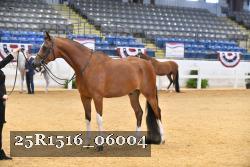 25R1516_06004 thumbnail