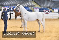 25R1516_06006 thumbnail