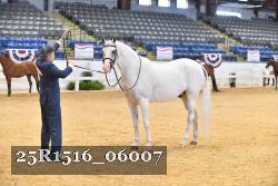 25R1516_06007 thumbnail