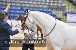 25R1516_06008 thumbnail