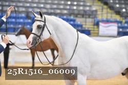 25R1516_06009 thumbnail