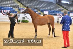 25R1516_06011 thumbnail