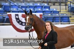 25R1516_06036 thumbnail