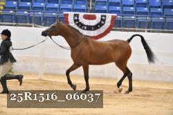 25R1516_06037 thumbnail