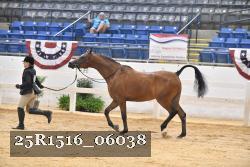 25R1516_06038 thumbnail