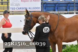 25R1516_06039 thumbnail