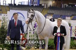 25R1516_06045 thumbnail