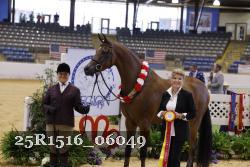 25R1516_06049 thumbnail