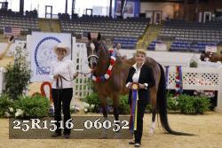 25R1516_06052 thumbnail