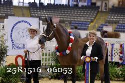 25R1516_06053 thumbnail