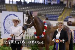 25R1516_06054 thumbnail