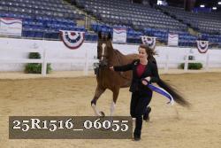 25R1516_06055 thumbnail