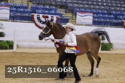 25R1516_06068 thumbnail