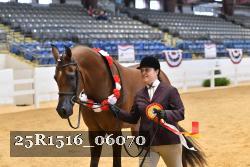 25R1516_06070 thumbnail