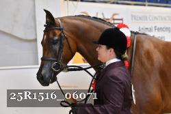 25R1516_06071 thumbnail