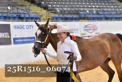25R1516_06074 thumbnail
