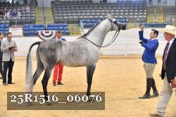 25R1516_06076 thumbnail
