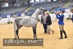 25R1516_06077 thumbnail