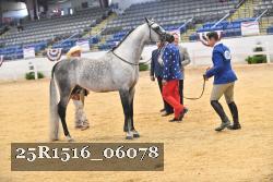 25R1516_06078 thumbnail