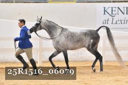 25R1516_06079 thumbnail