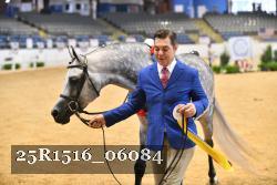 25R1516_06084 thumbnail