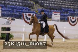25R1516_06087 thumbnail