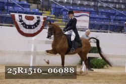 25R1516_06088 thumbnail