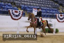 25R1516_06115 thumbnail