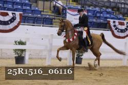 25R1516_06116 thumbnail