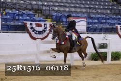 25R1516_06118 thumbnail