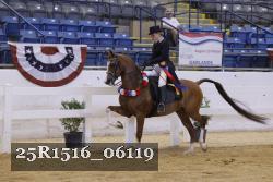 25R1516_06119 thumbnail