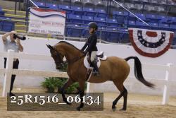 25R1516_06134 thumbnail