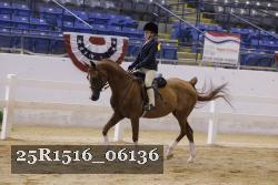 25R1516_06136 thumbnail