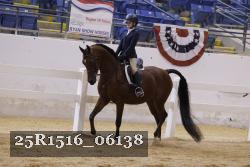 25R1516_06138 thumbnail