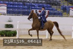25R1516_06141 thumbnail