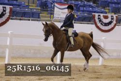 25R1516_06145 thumbnail