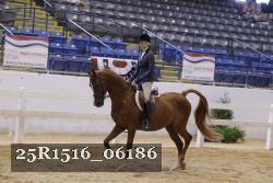 25R1516_06186 thumbnail