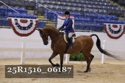 25R1516_06187 thumbnail