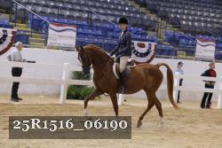 25R1516_06190 thumbnail