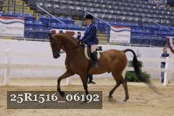 25R1516_06192 thumbnail
