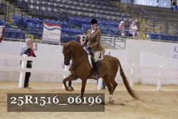 25R1516_06196 thumbnail