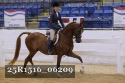 25R1516_06209 thumbnail