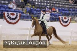 25R1516_00500 thumbnail