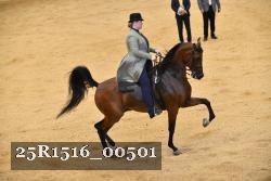 25R1516_00501 thumbnail